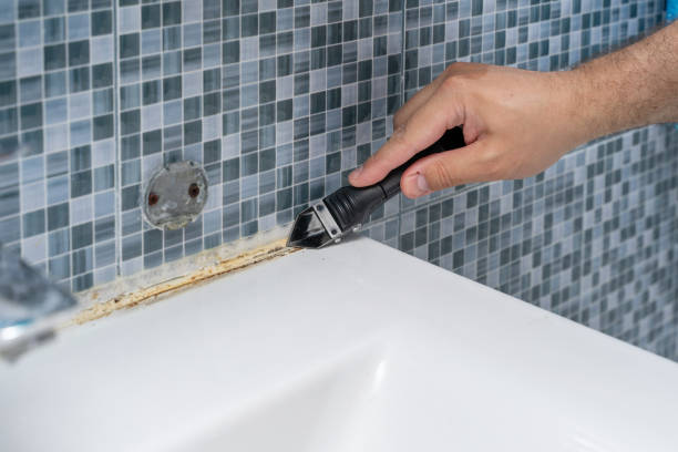 Best Mold Testing  in Oak Leaf, TX