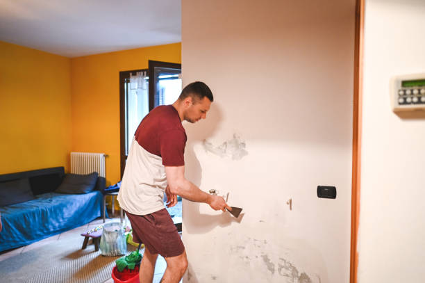 Best Black Mold Removal  in Oak Leaf, TX