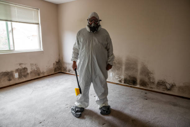Crawl Space Mold Removal in Oak Leaf, TX