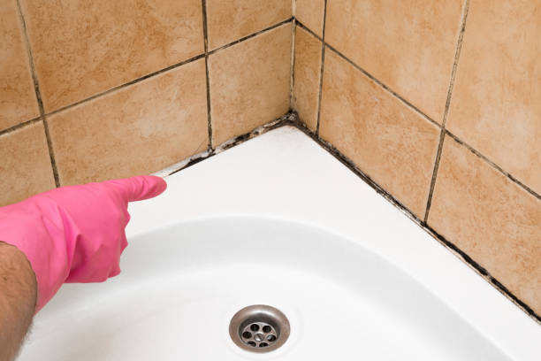 Best Mold Cleaning Services  in Oak Leaf, TX